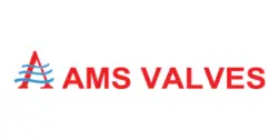 ams valves_result
